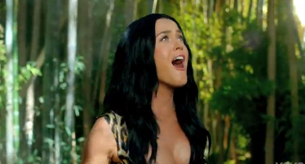 Katy Perry - Roar 