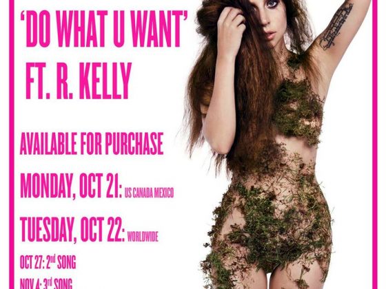 Lady Gaga Do What U Want 2013