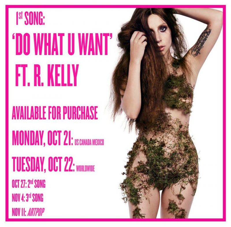 Lady Gaga Do What U Want 2013