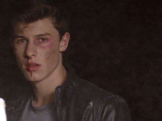 Shawn Mendes Stitches