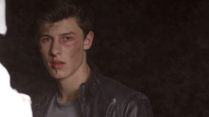 Shawn Mendes Stitches