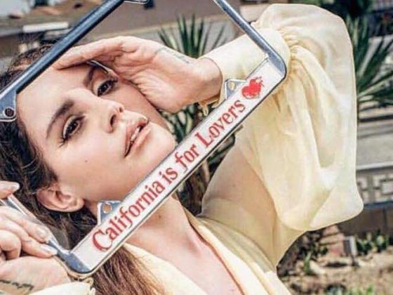 lana del rey groupie love